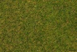 170256 Faller Streufasern Wildgras, Frühsom