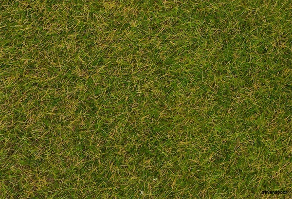 170256 Faller Streufasern Wildgras, Frühsom 1 170256 Faller Streufasern Wildgras, Frühsom