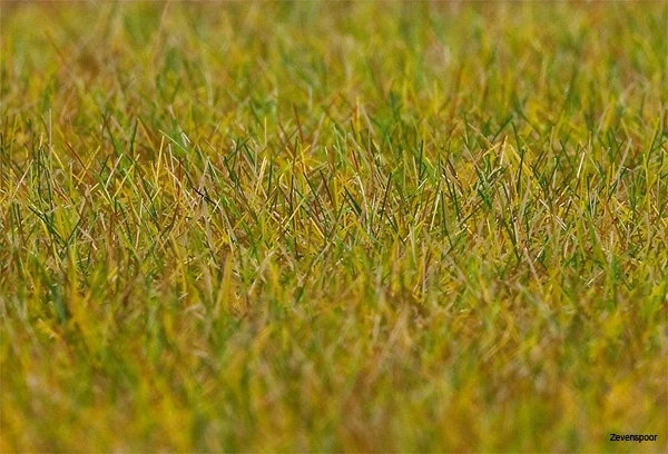 180484 Faller PREMIUM Streufasern Wiese, He 1 180484 Faller PREMIUM Streufasern Wiese, He