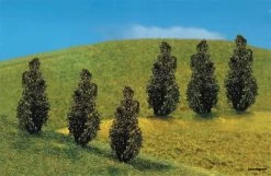 181229 Faller 6 PREMIUM Thujas