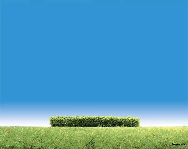 181398 Faller 3 Hecken, Hellgrün 1 181398 Faller 3 Hecken, Hellgrün