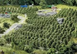 181490 Faller 36 Reben