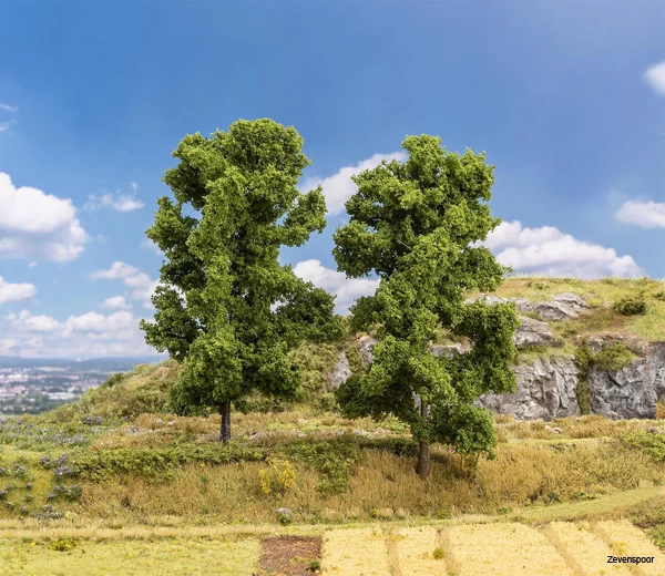 181572 Faller 2 Buchen 1 181572 Faller 2 Buchen