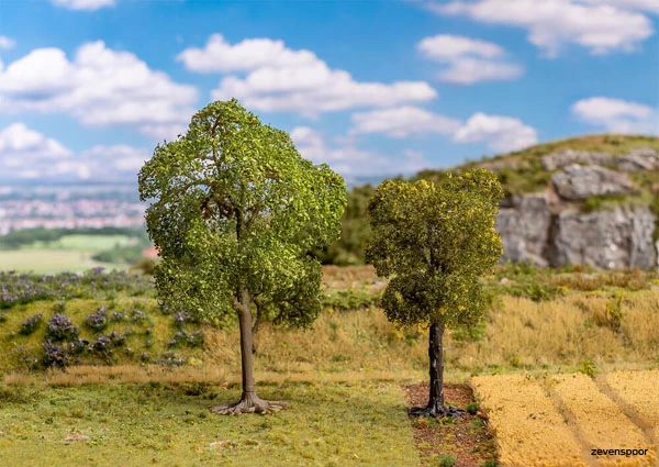 181801 Faller Linde Und Elsbeere 1 181801 Faller Linde Und Elsbeere